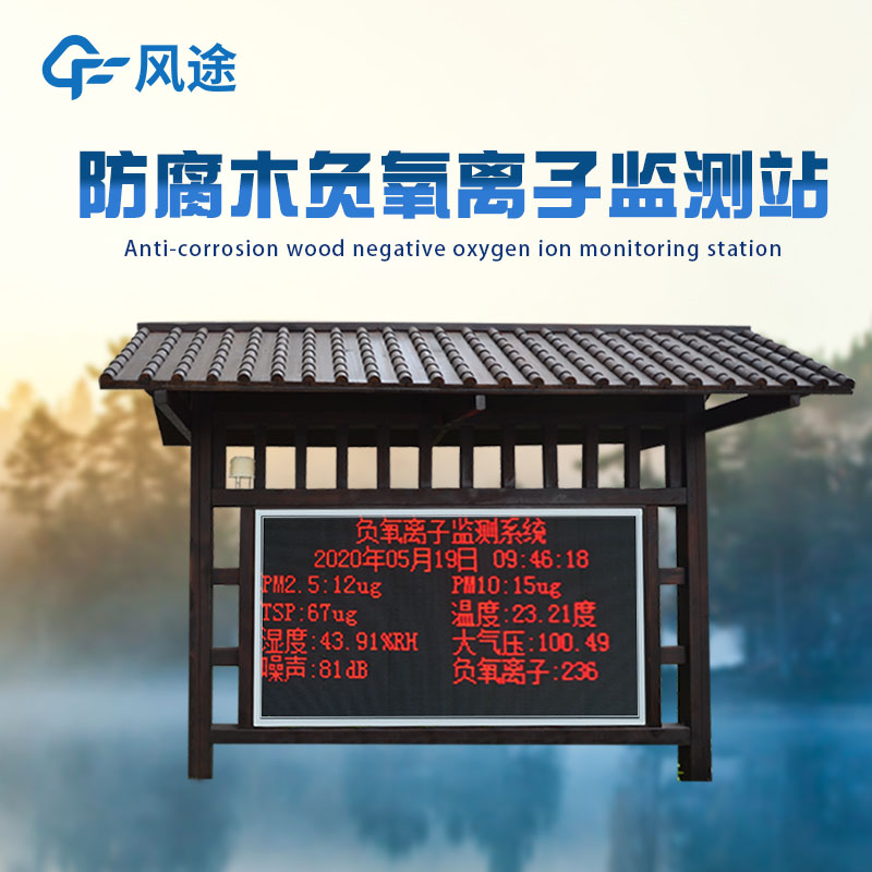 在线负氧离子检测系统有几种显示方式？